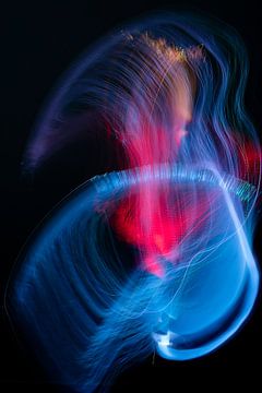 Een stoere lightpaint met blauw en rood van mandy vd Weerd