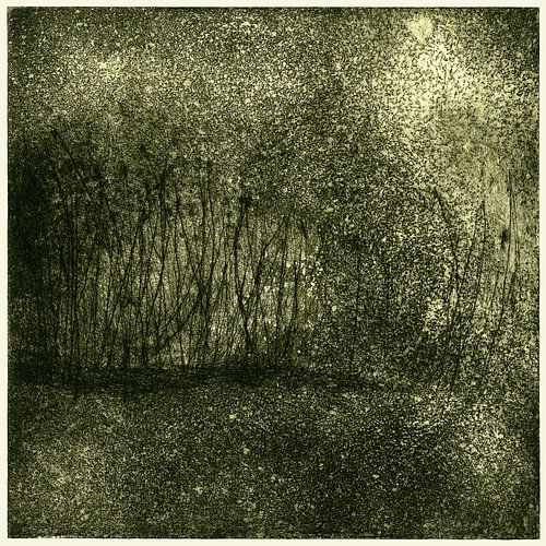 Plantensemble, Ets