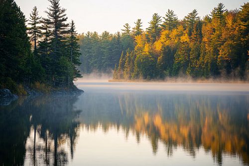 Matinée brumeuse au lac