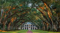 Coucher de soleil à Oak Alley Plantation
