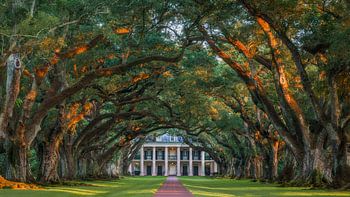Sunset at the Oak Alley Plantation