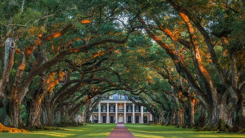 Sonnenuntergang in der Oak Alley Plantation von Edwin Mooijaart