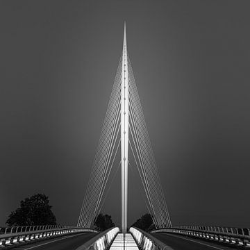 The Harp Bridge in black and white