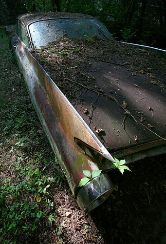 Cadillac fading away