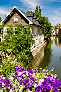 Blumen mit Fassade Fachwerkhaus am Ill im Gerberviertel Frankreich Strassburg