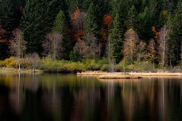 Autumn Reflection by Julien Beyrath