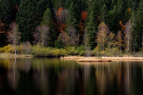 Réflexion d'automne