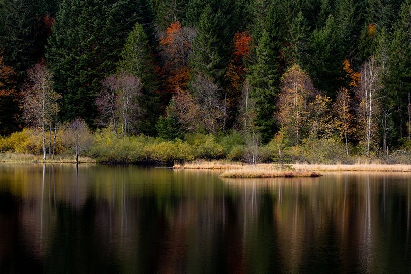 Reflexion im Herbst von Julien Beyrath