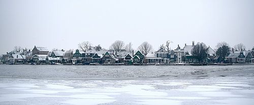 zanish winter wonderland