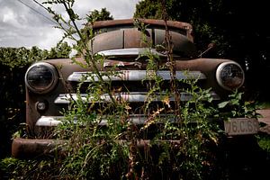 Ford Fargo
