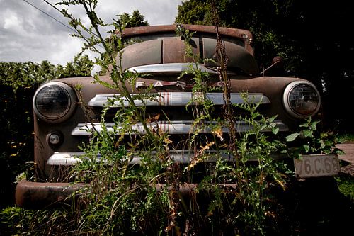 Ford Fargo