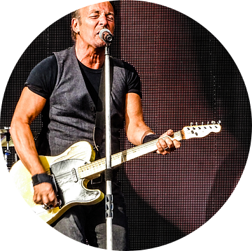 Bruce Springsteen & the E Street Band  van Shui Fan