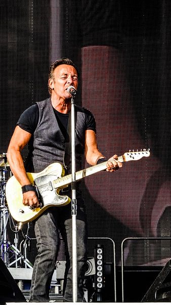 Bruce Springsteen & the E Street Band  von Shui Fan