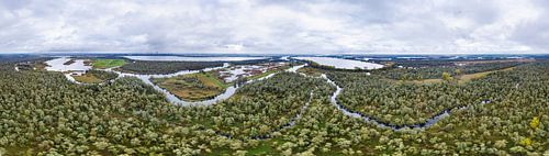 National Park De Biesbosch in 360° aus der Luft