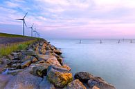 Windmills along the dike by Mark Scheper thumbnail