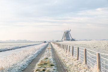 The long road to the windmill! by Robert Kok