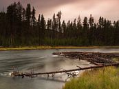 Madison River, Yellowstone NP (USA) van Sjaak den Breeje thumbnail