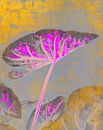 Exotic Autumn Leaf by Mad Dog Art thumbnail