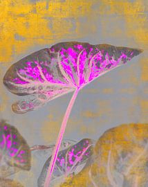 Exotisches Herbst Blatt von Mad Dog Art