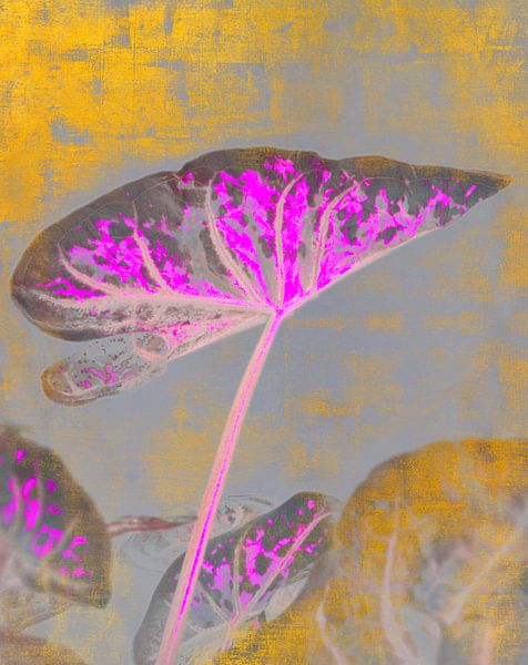 Exotic Autumn Leaf by Mad Dog Art