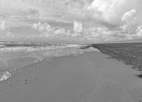 monochrome zee landschappen