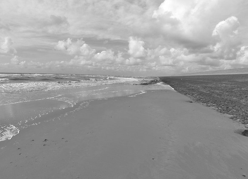 monochrome zee landschappen van erik boer