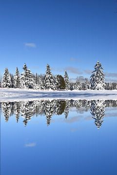 Winter reflection on the lake by Claude Laprise