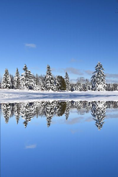 Winter reflection on the lake by Claude Laprise