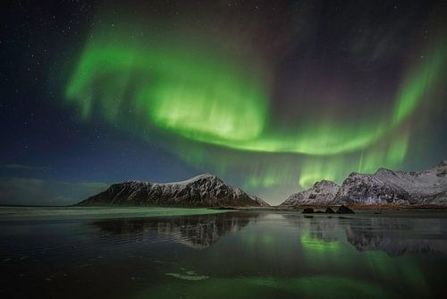 Lady aurora