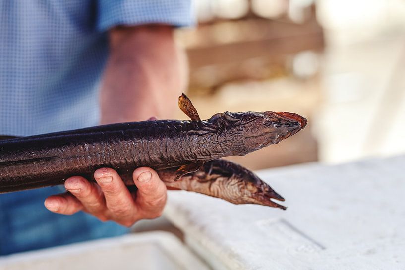 ein Fischverkäufer präsentiert geräucherten Aal von Studio17