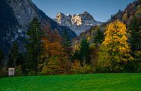 Herfstkleuren in de bergen van Brandnertal, Vorarlberg van Ralf van de Veerdonk thumbnail