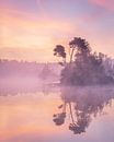 The perfect morning by Peter Nolten thumbnail