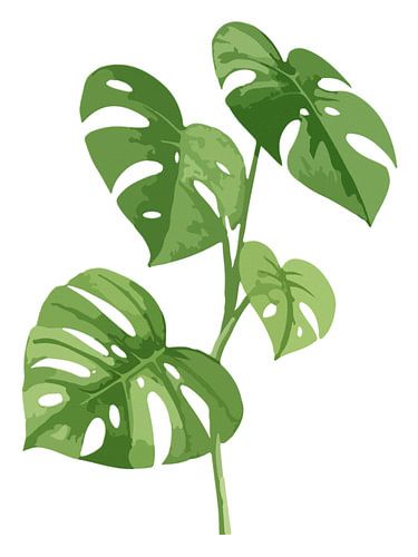 Monstera Deliciosa als drieluik (2 van 3)