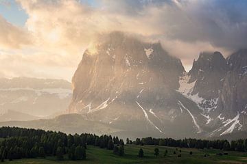 Gouden ochtend op de Alpe di Siusi van Daniel Gastager