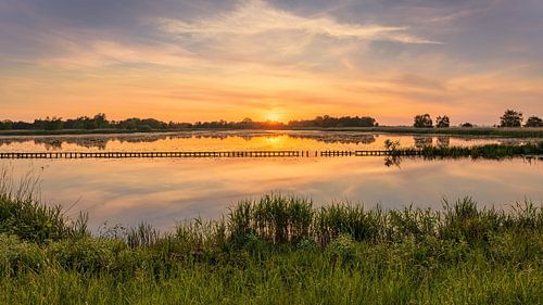Ein Sonnenuntergang im Naturschutzgebiet Ae's Woudbloem in der Provinz Groningen von Marga Vroom