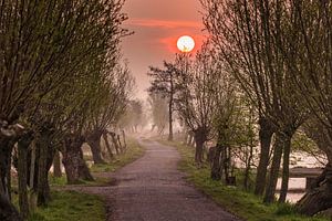 Sonnenaufgang in Bergambacht von Rob Boon