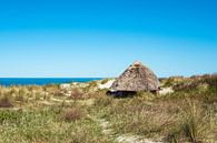 Strandhütte an der Ostseeküste in Wustrow auf dem Fischland-Darß von Rico Ködder Miniaturansicht