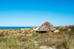 Strandhütte an der Ostseeküste in Wustrow auf dem Fischland-Darß