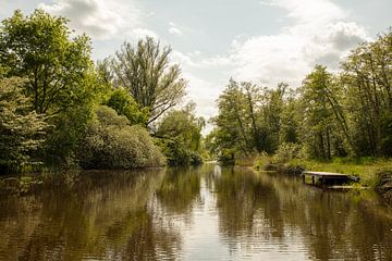 Schönes Bild vom scheene friesland von anne droogsma