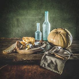 Hungarian pumpkin by Miriam Meijer, en pleine campagne.....