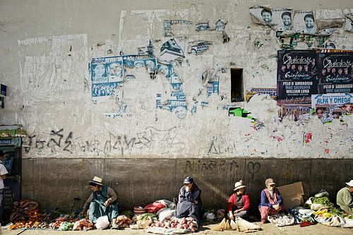 lokale boerinnen verkopen fruit en bloemen in brazilië