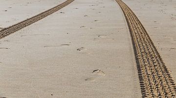 Wheel tracks on the beach, Bergen aan Zee, Netherlands by Guido van Veen