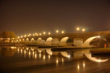 Steinerne Brücke zu Regensburg bei Nacht von Roith Fotografie