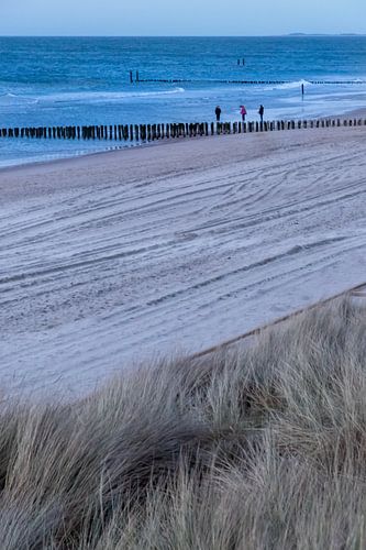 Children playing by the sea