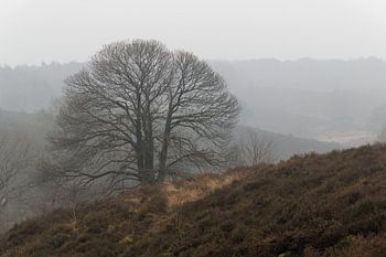 Herbst auf der Posbank