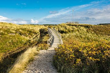 Landscape with dunes on the island Amrum by Rico Ködder