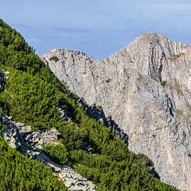 Sinanitsa im Pirin-Nationalpark in Bulgarien von Jessica Lokker