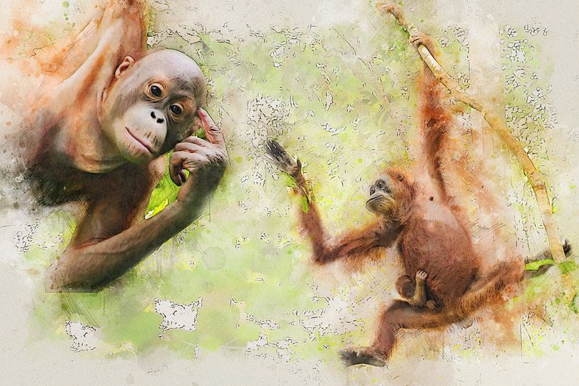 Orang-Utan von Bert Quaedvlieg