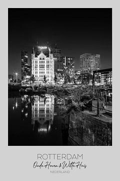 In focus: ROTTERDAM Oude Haven met Witte Huis van Melanie Viola
