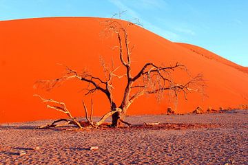 Zandduinen Namib van Inge Hogenbijl